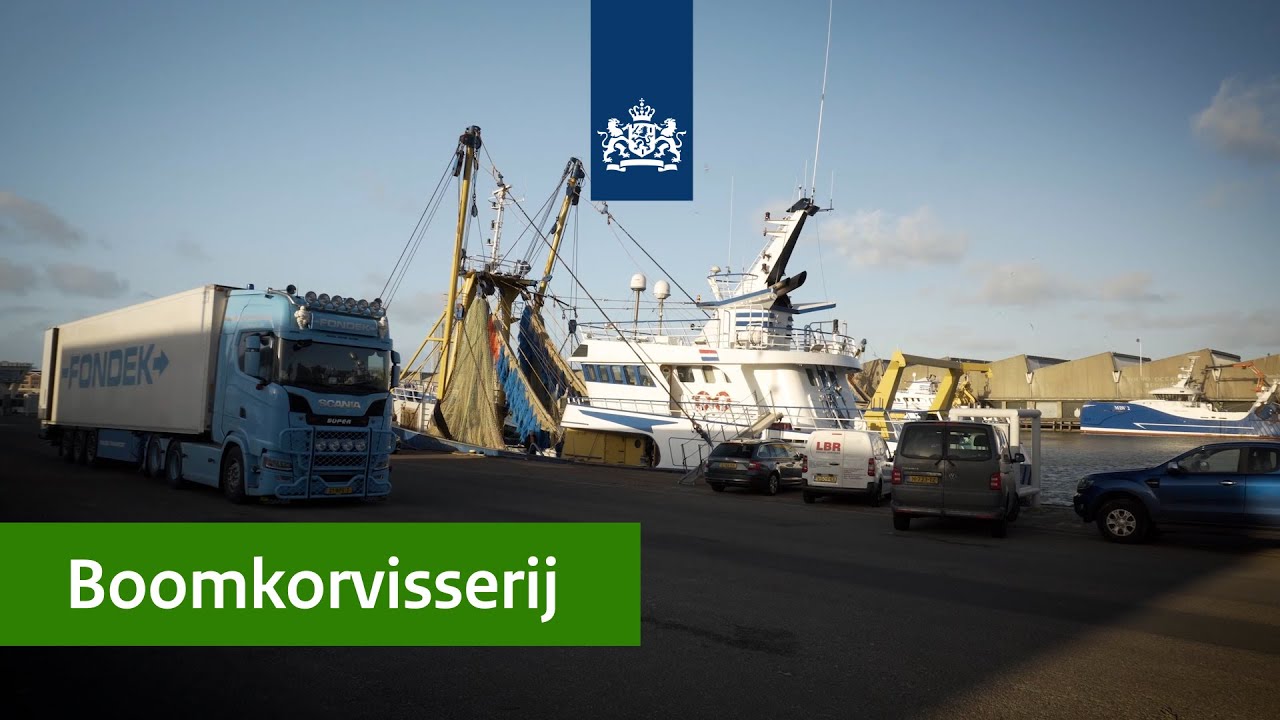 Visserij | In gesprek met boomkorvissers