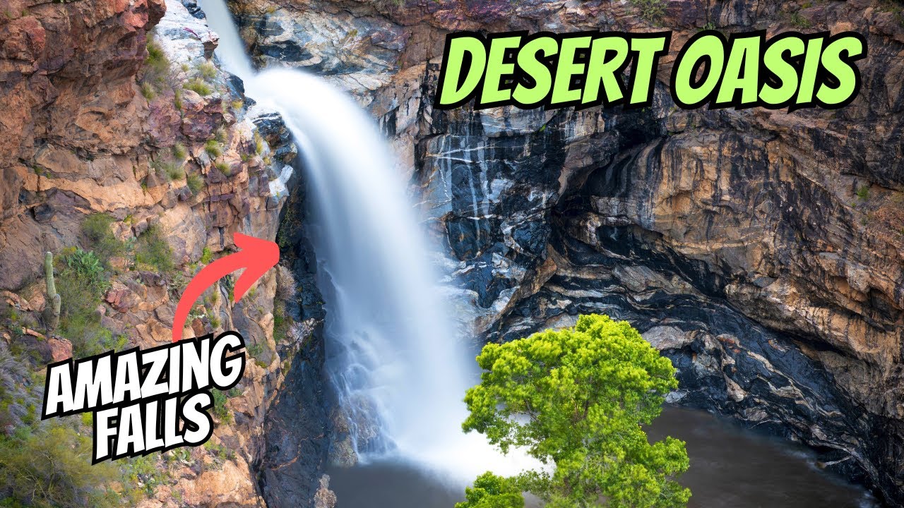 Beyond the Cactus: Tanque Verde's Hidden Oasis