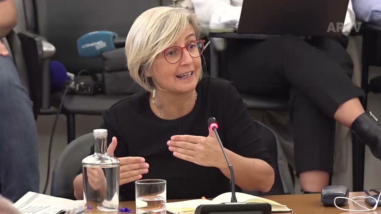 2024 09 27 - Caso Gémeas: Audição da Eurodeputada Marta Temido, ex-Ministra da Saúde