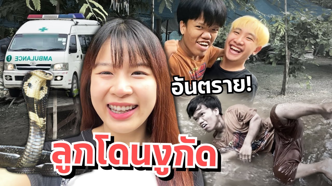 ดาวตกใจ ลูกโดนงูกัด!! เข้าโรงบาลด่วน แฟนเครียด