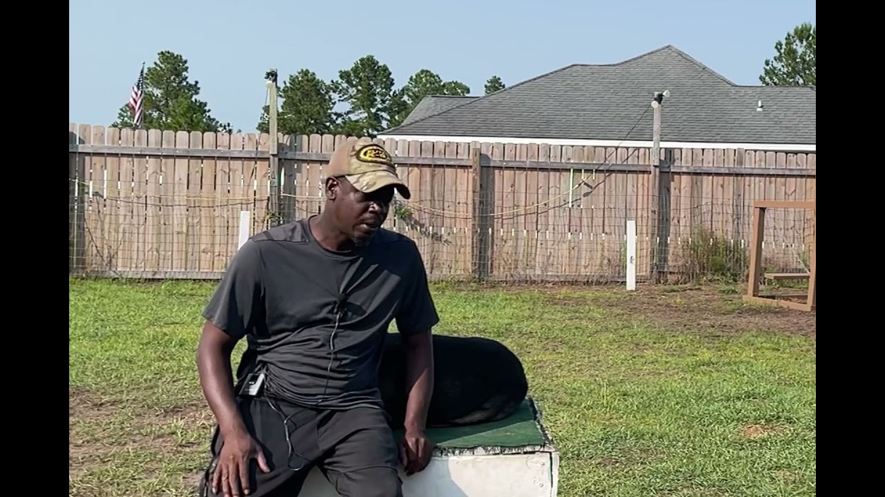 Enoch Protection Test for Defensive Drive Work To Stand His Ground and Not Flight But Fight..
