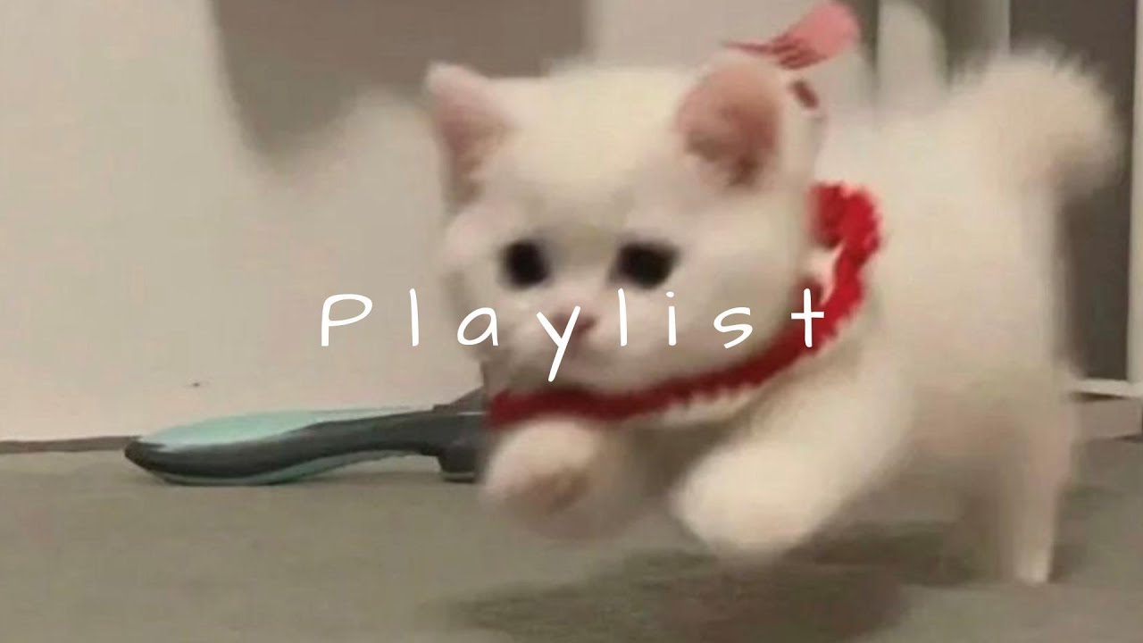 𝐏𝐥𝐚𝐲𝐥𝐢𝐬𝐭 집사야 두쫀쿠 혼자 먹냐? 나도 한 입만 🤍🎧 | chil · groovy r&b