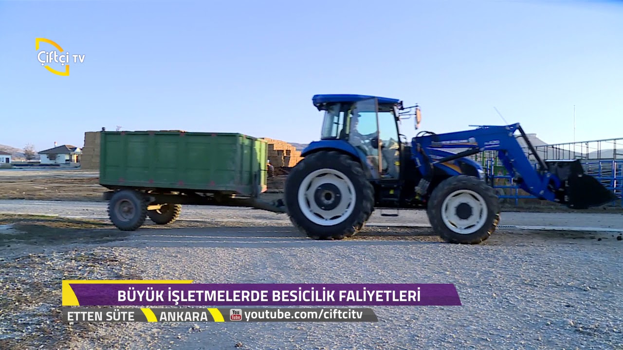 Etten Süte - Büyük İşletmelerde Besicilik Faaliyetlerinin Önemi