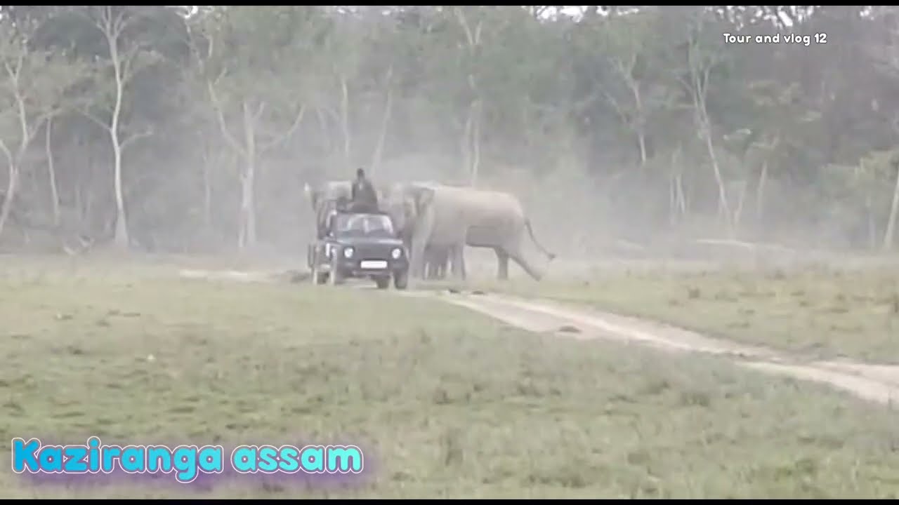 Dangerous tour in Kaziranga assam__#Tourandvlog12