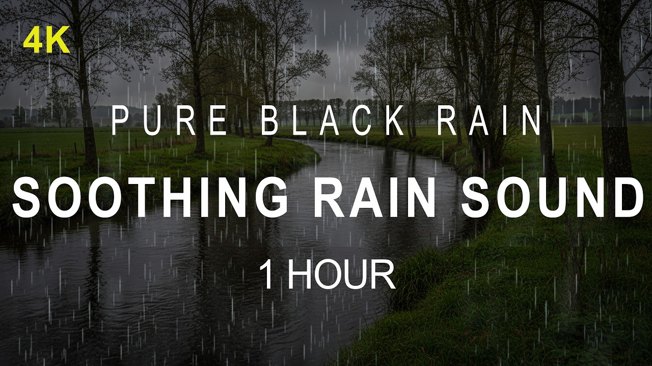 ⛈️ Soothing Rain Sound | Sleep Wrapped in Rain | 1 Hour