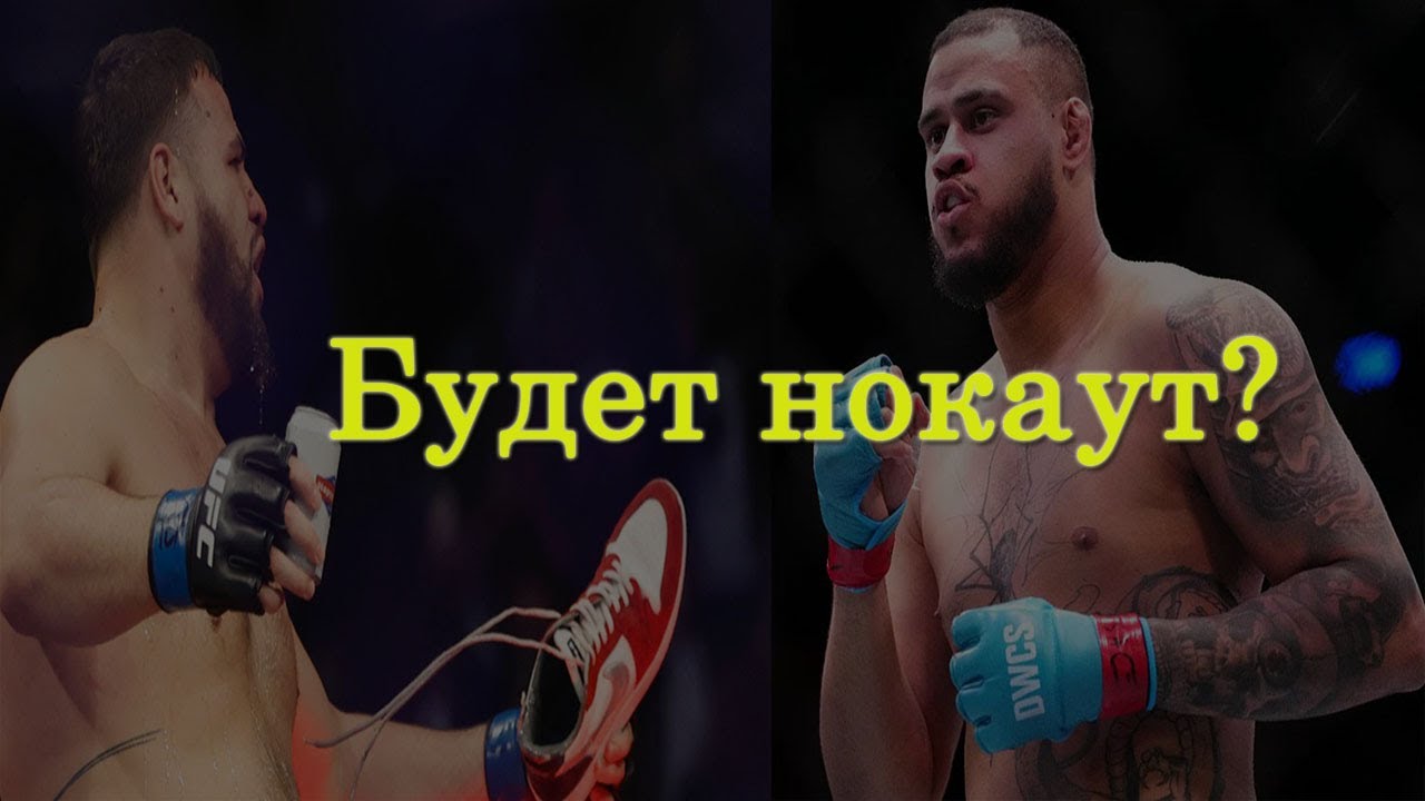 Туиваса vs Тейшейра прогноз на бой UFC 325 | Разбор бойцов| Кто победит?