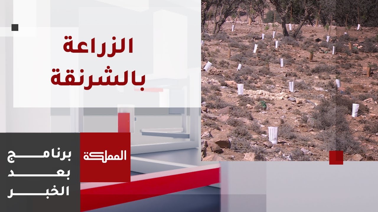 بعد الخبر | تقنية الشرنقة لزراعات حديثة