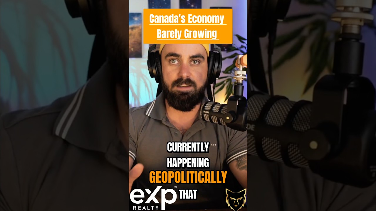 🇨🇦 Canada&rsquo;s Economy had 0 Growth, THEN a 2.5% Rebound. What happened? 📊 #canadaeconomy #canada