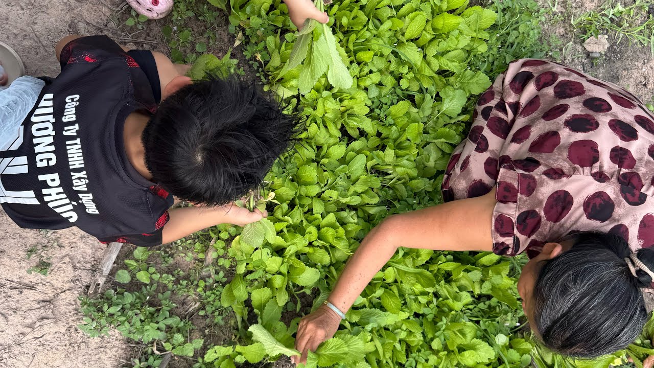 Về vườn cùng ngoại