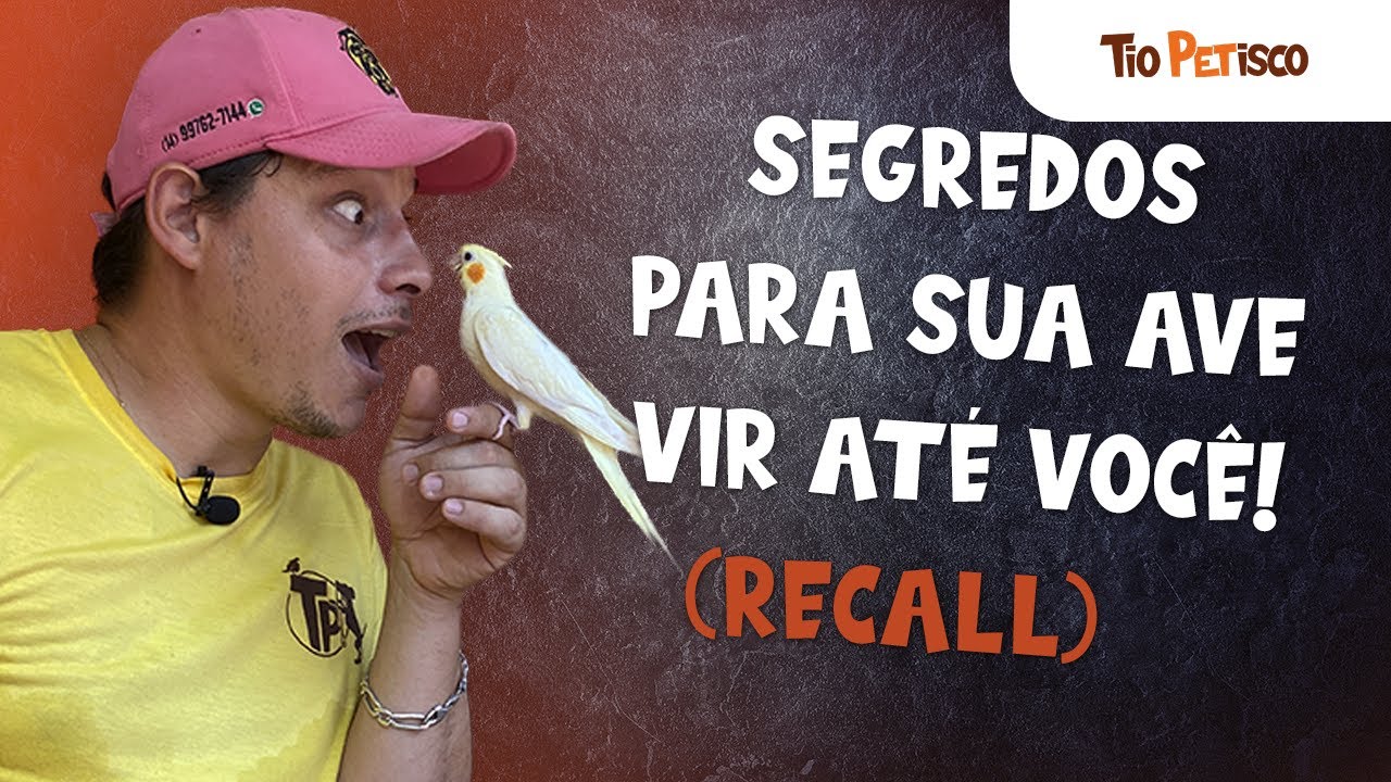 RECALL - Aprenda um dos princípios básicos do voo livre!!