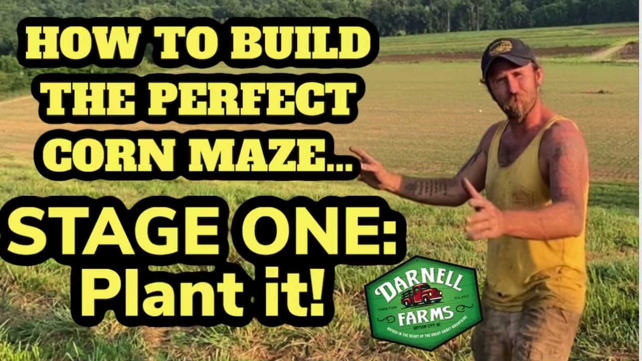 How to Build the Perfect Corn Maze… Step One: Plant it!