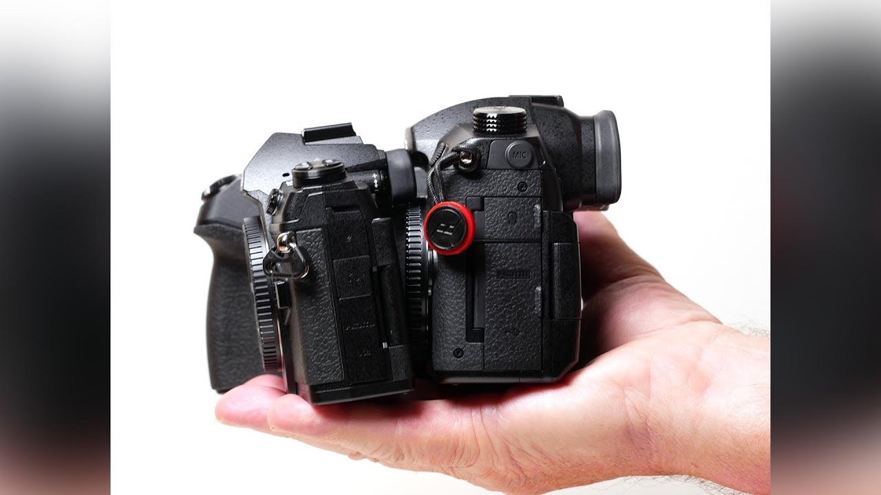 Olympus E-M1 Mkll в сравнении с Panasonic GH5