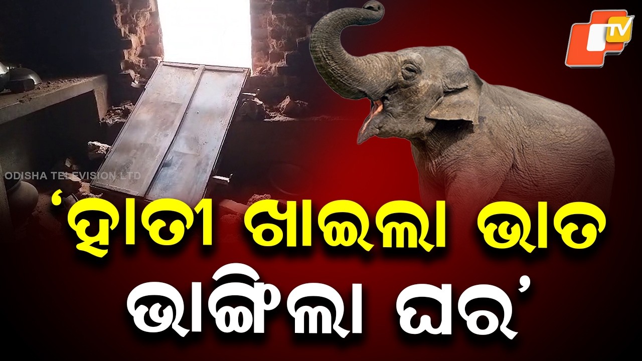 Wild Elephant Eats Cooked Food, Damages House in Champua Village