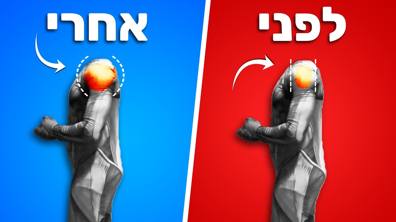 אימון כתפיים עם משקולות -  15 דק' אימון כתפיים ביתי | תרגילי משקולות לכתפיים