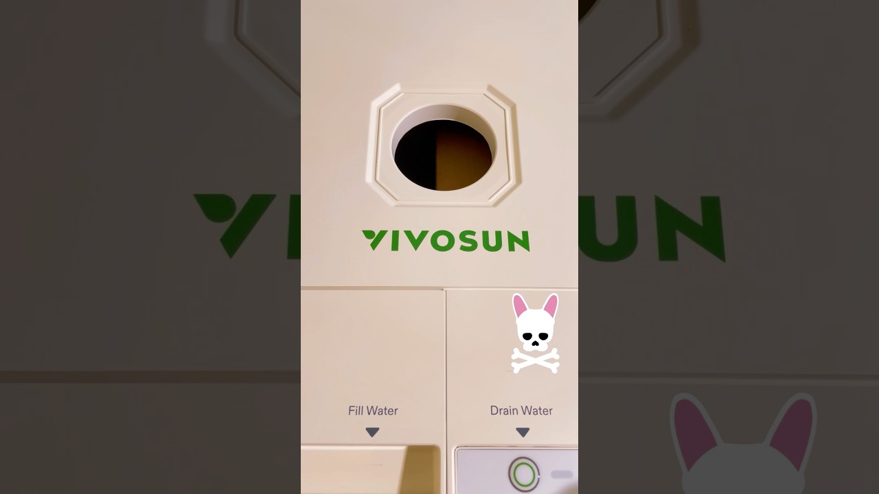 Vivosun VGrow DWC Hydroponics Grow Kit - Check out the full video