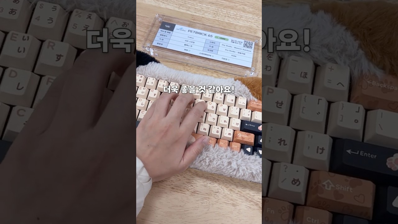 100만원대 키보드가 가득한 타건샵 (스웨그키 타건샵) #keyboard #키보드