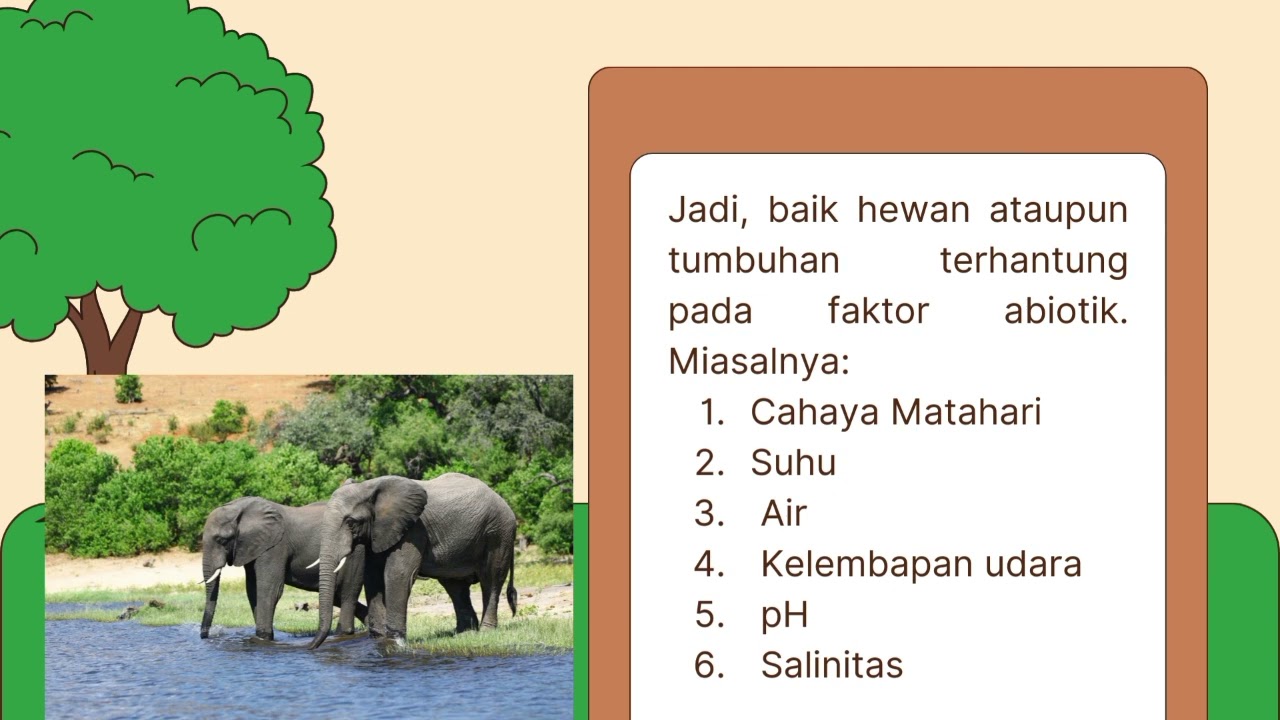 Pengaruh Lingkungan Terhadap Suatu Organisme_Ekologi dan Keanekaragaman Hayati