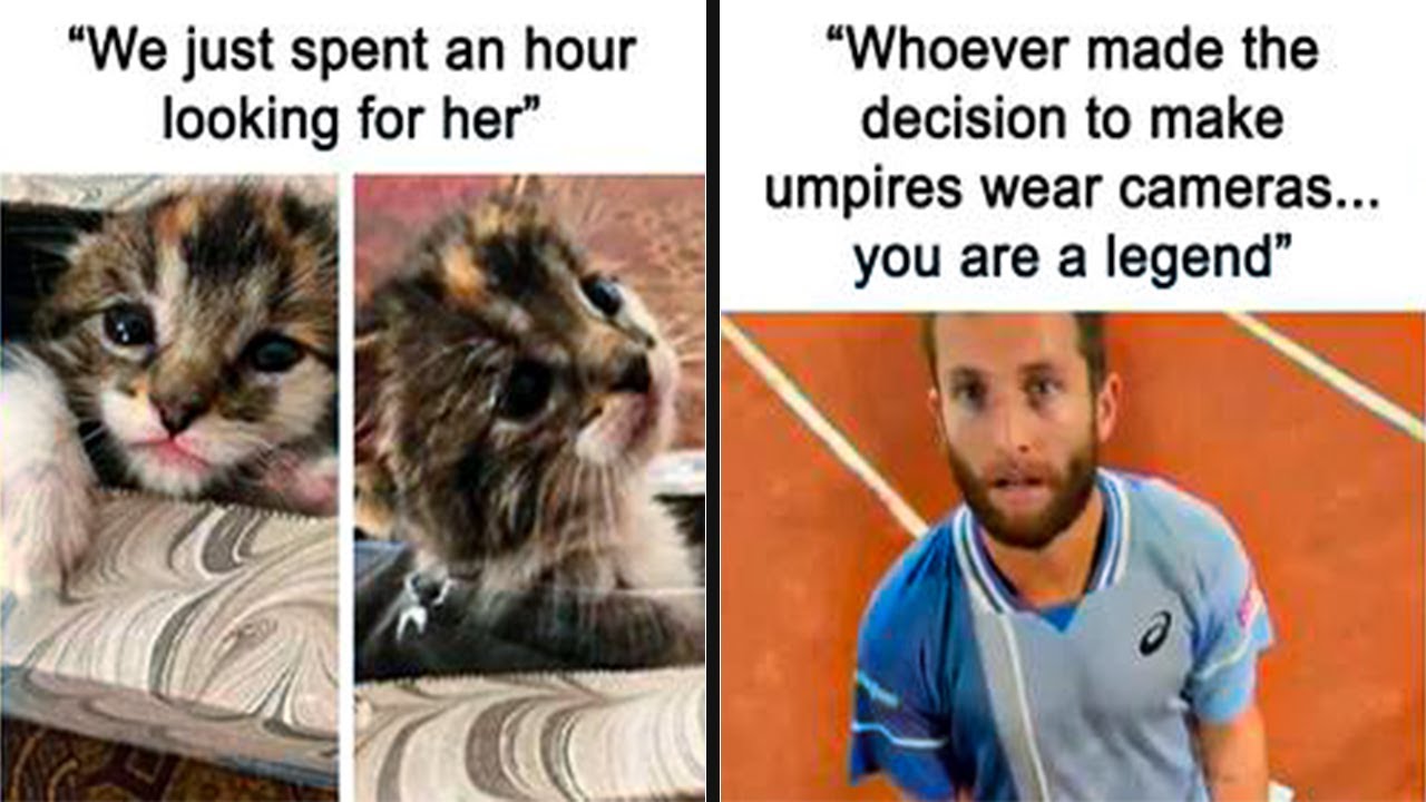 Uplifting Memes and Posts That Show the World Isn’t All Bad