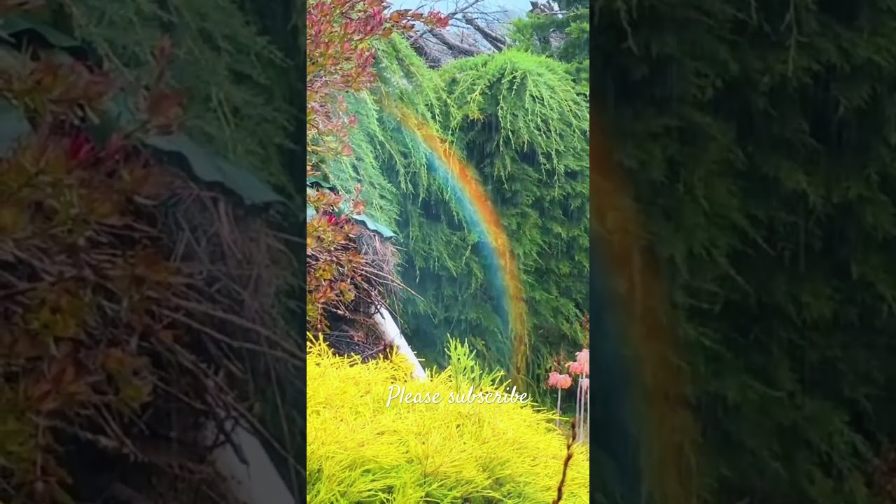 Stress relief watch till the end #relaxing #rain #relax #stressrelief