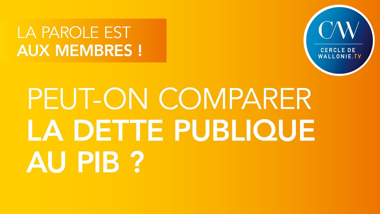 Peut-on comparer la dette publique au PIB ?