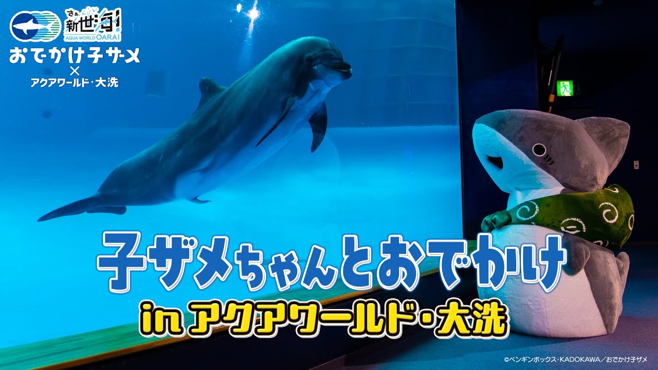 アニメ『おでかけ子ザメ』子ザメちゃんが大洗水族館にやって来た！