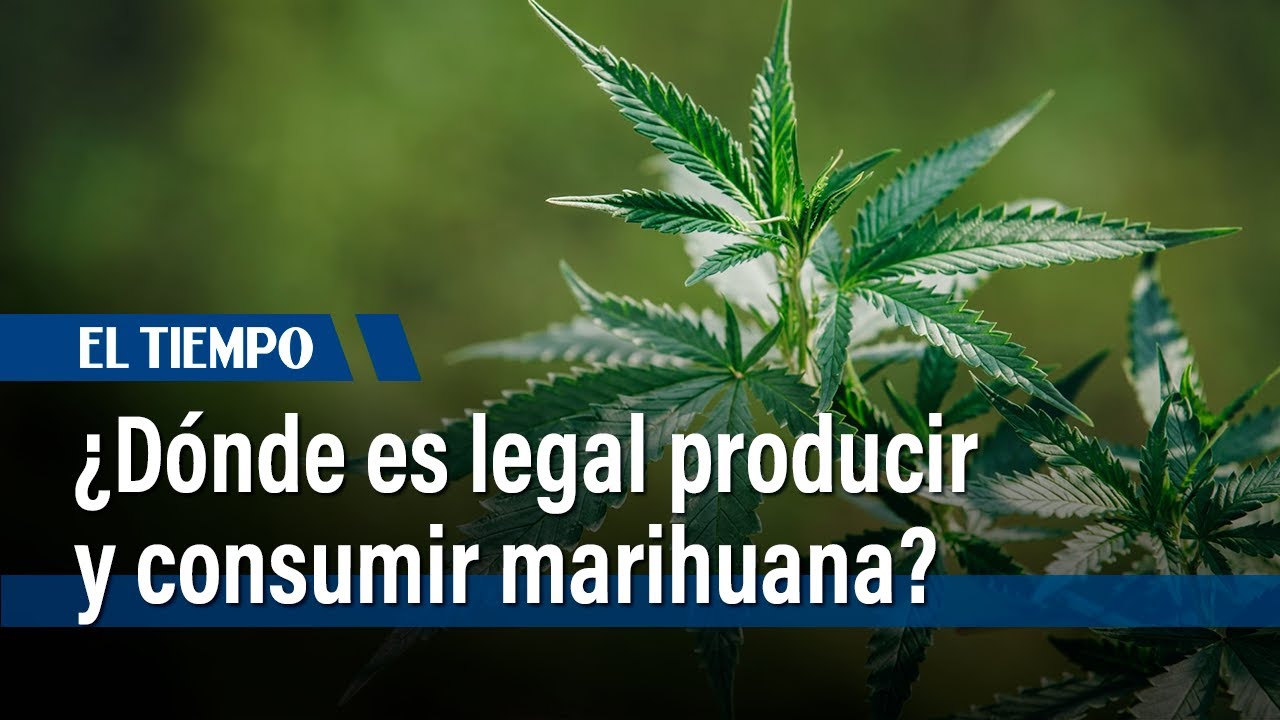 Conozca los pa&iacute;ses donde es legal producir y consumir el cannabis |&nbsp;El Tiempo