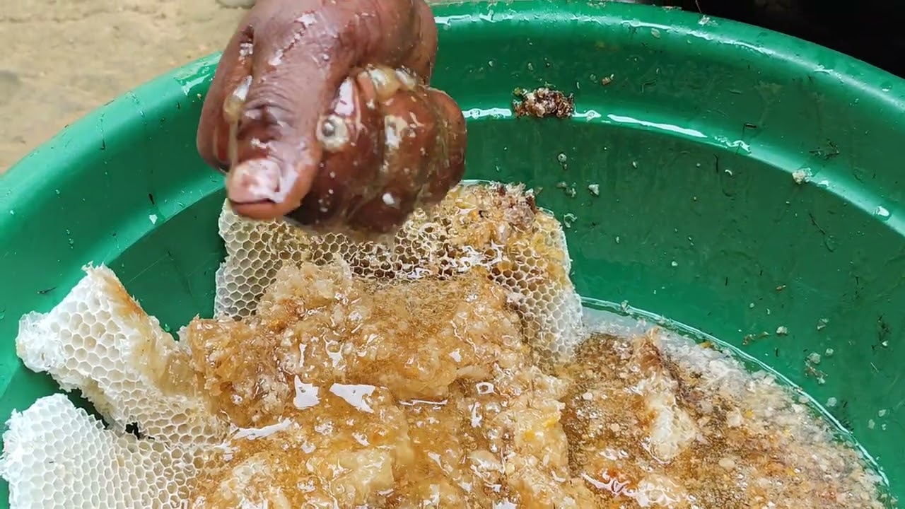 Harvesting nature's liquid gold. 100% raw, unfiltered, and straight from the source.