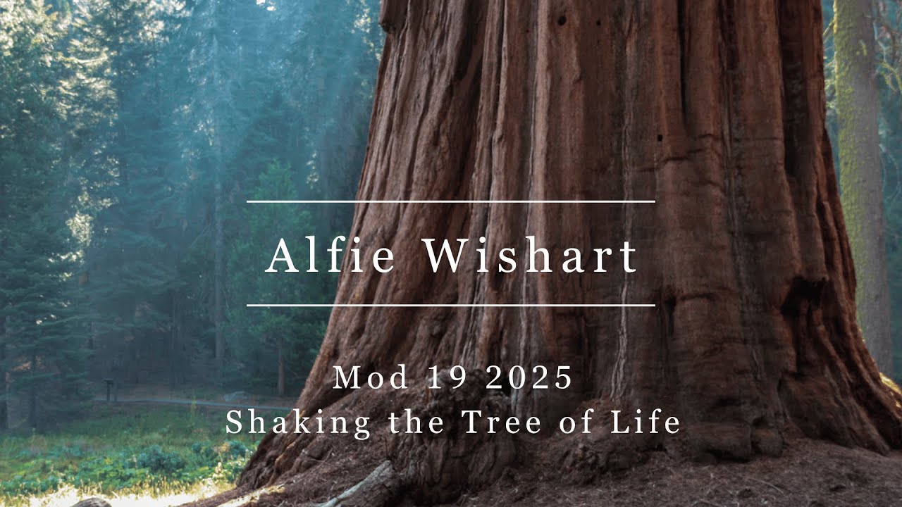 Modular Sessions 2025. Mod 19: Shaking the Tree of Life