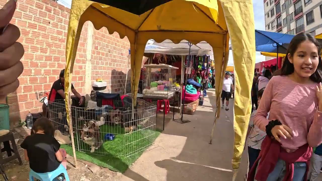 🇧🇴 | Feria de Mascotas 2024 | Walking Tour | Cochabamba - Bolivia | 4K