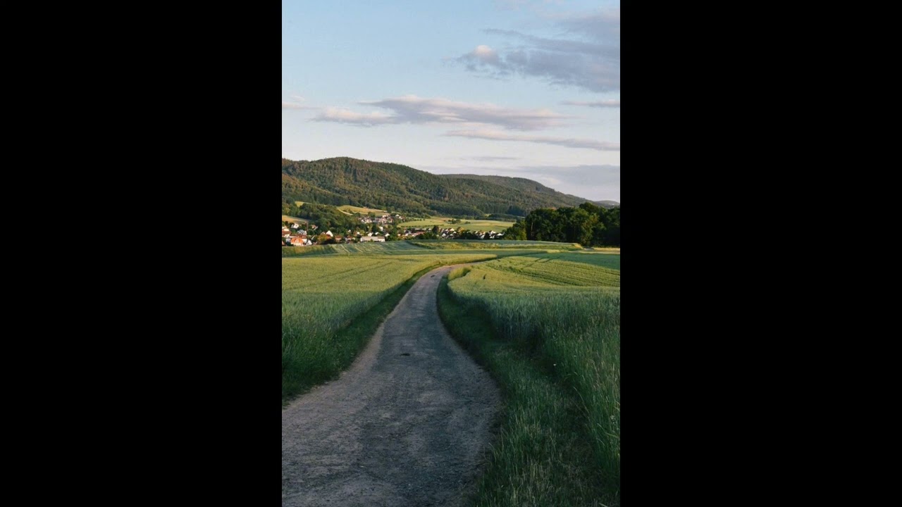 NOVERA! - run away (prod. wixxy)!