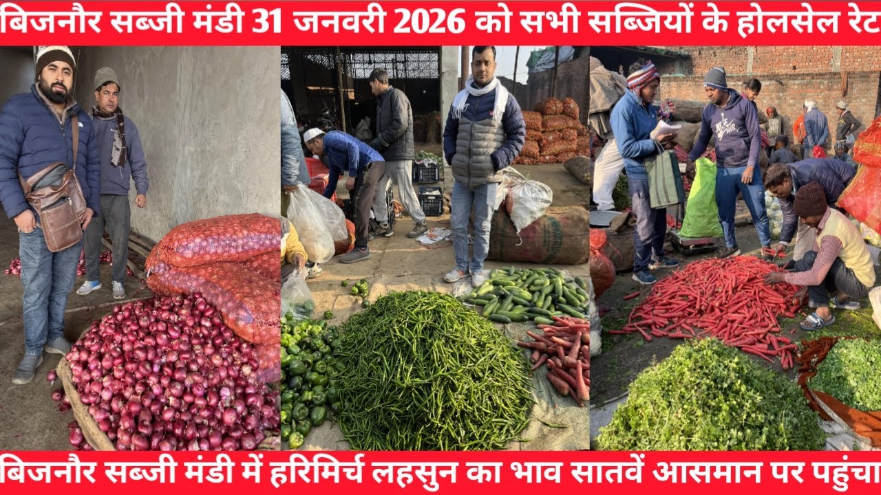 बिजनौर सब्जी मंडी 31 जनवरी 2026 सभी सब्जियों के होलसेल रेट | all vegetables price today bijnor mnadi