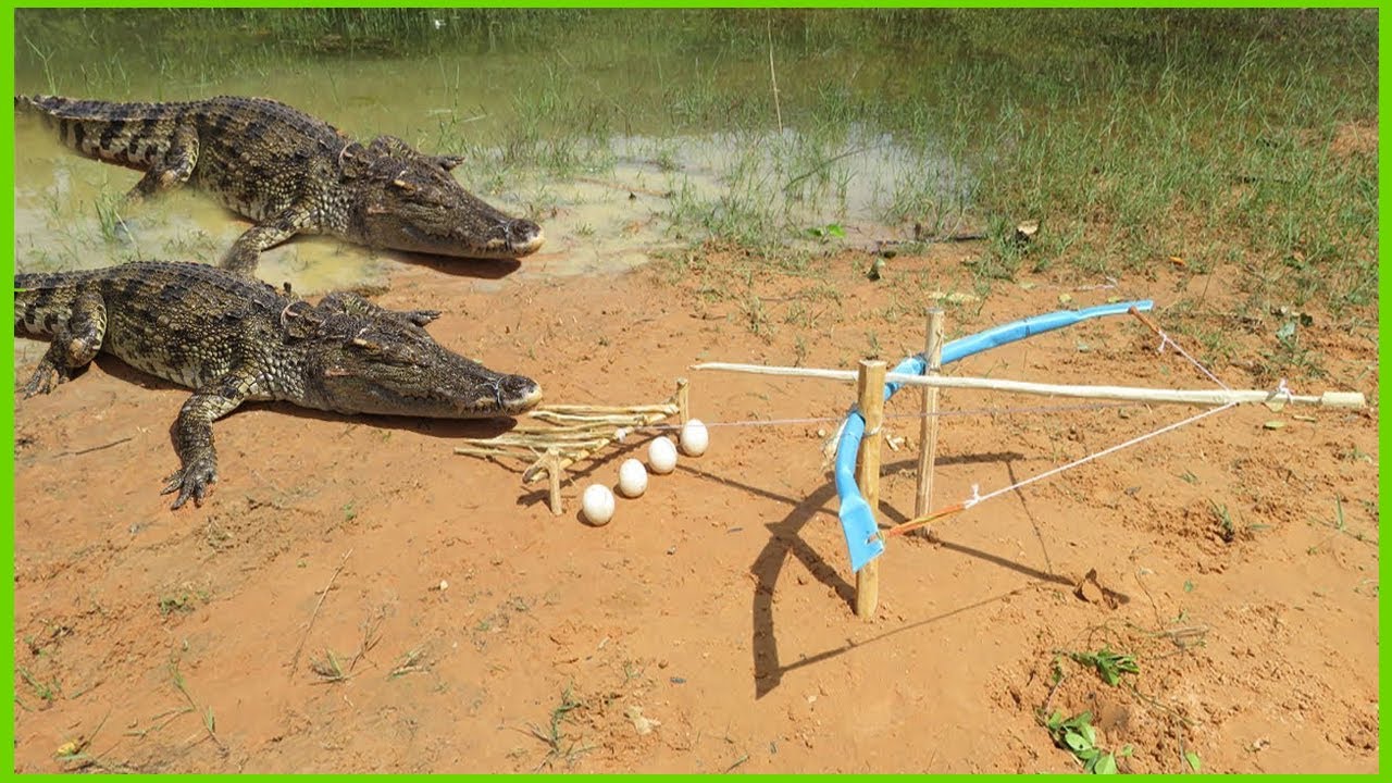 Primitive Technology: Man Make Crocodile Trap - How To Make Big Crocodile Trap Wor