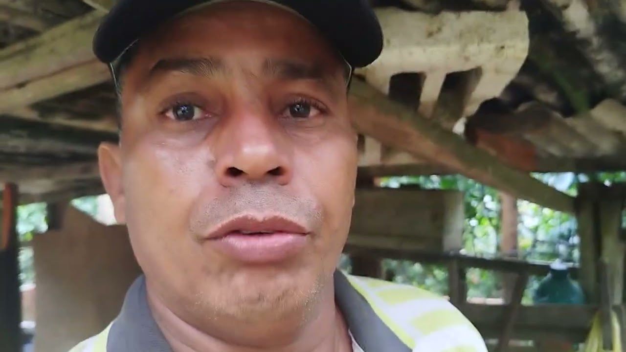 Como fazer pra produzir cacau em grande escala 