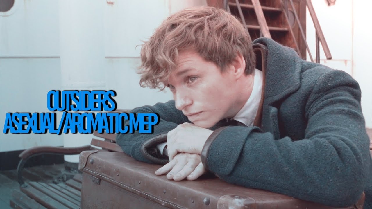 Outsiders || Asexual & Aromantic MEP