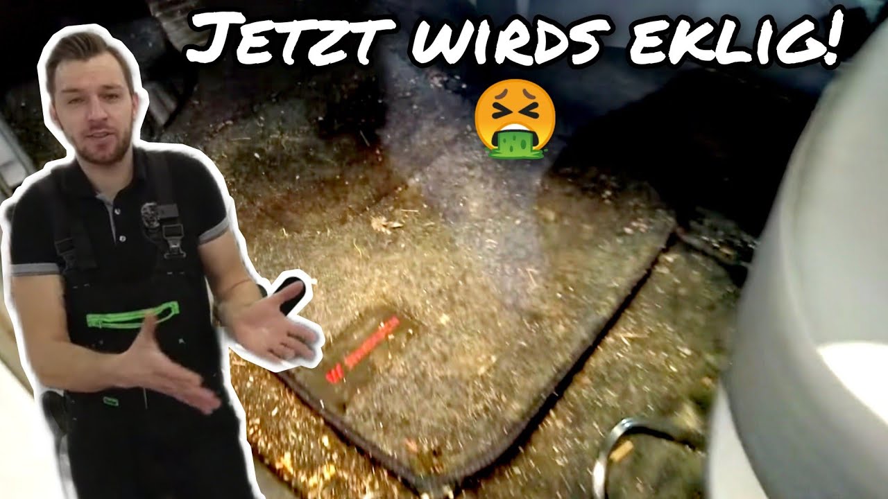 Jetzt wird es eklig ! Fahrzeug-Aufbereitung extrem Schimmel, Moos, Dreck und Co...