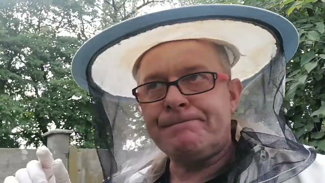 Ile razy można leczyć pszczoły w sezonie? Ile to kosztuje?