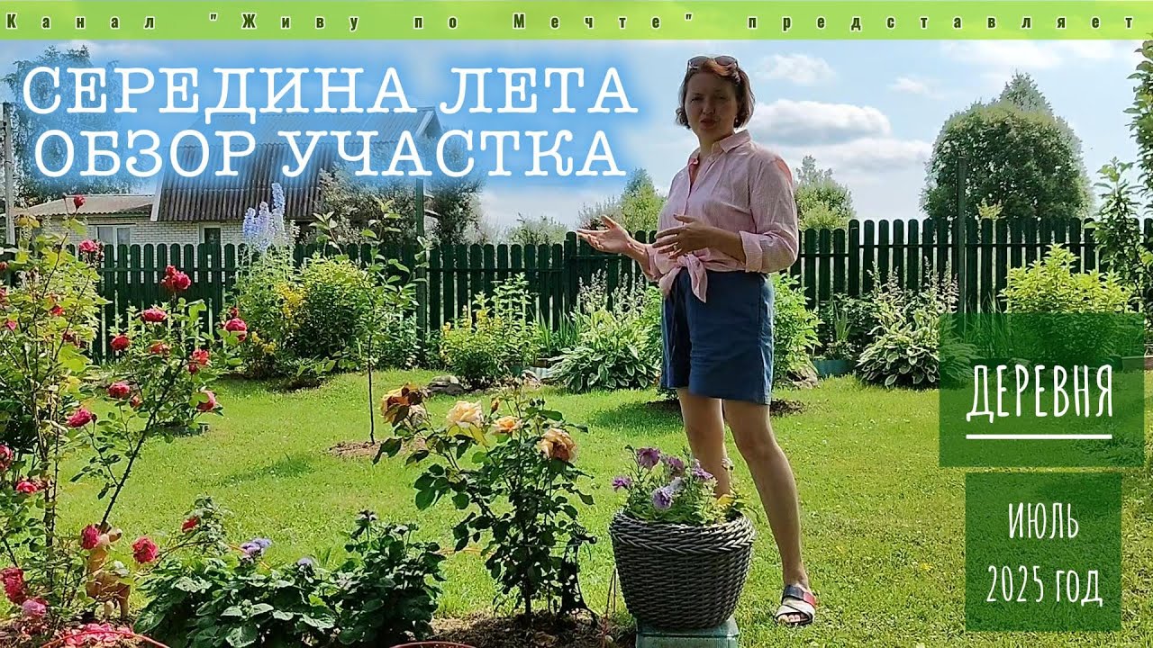 Деревня: Обзор участка в середине лета 2025 г.