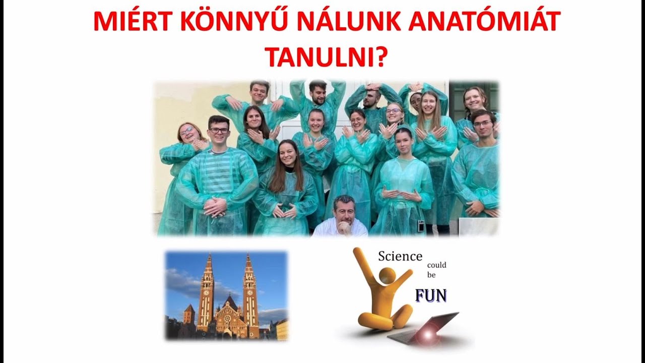 Miért könnyű nálunk anatómiát tanulni?