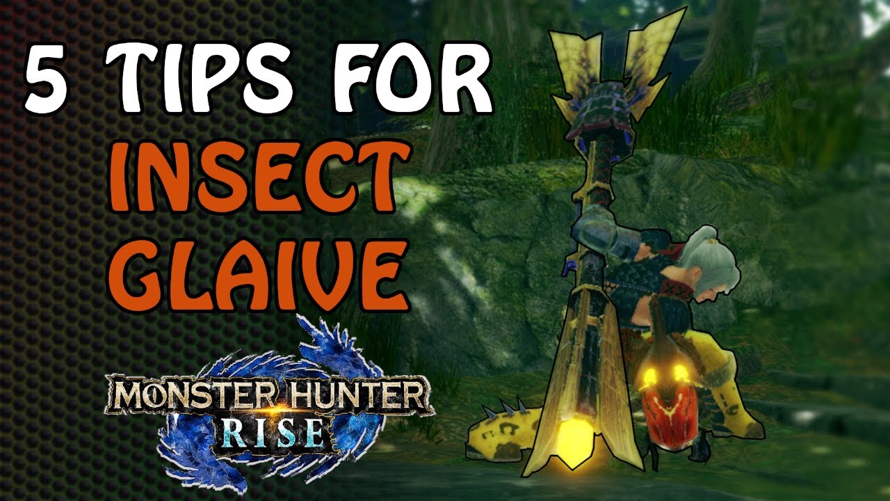 5 Tips for starting Insect Glaive in Rise | Rise Launch Version