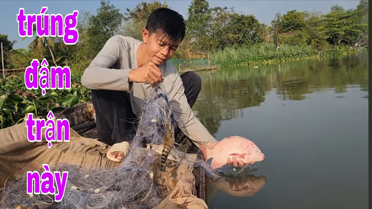 Từ Lai Vung Xuống Thăm Lưới , Cá Và Tôm Càng Xanh Dính Lưới Gỡ Đã Tay # SĂN BẮT ĐỒNG THÁP #