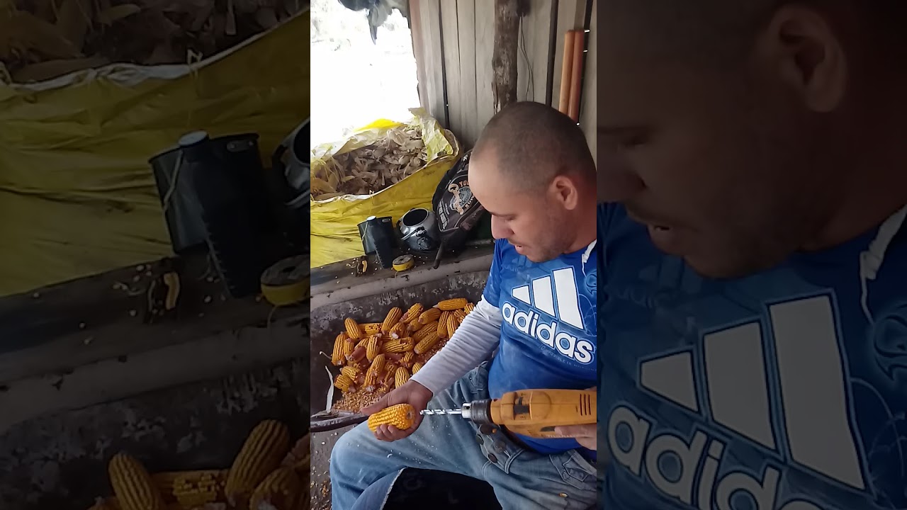 como debulhar milho com  furadeira