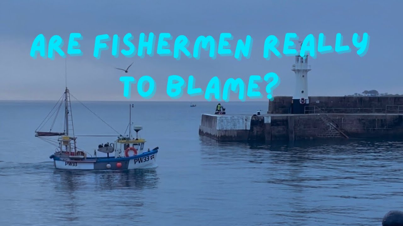 Are Fishermen Really to Blame for Overfishing?