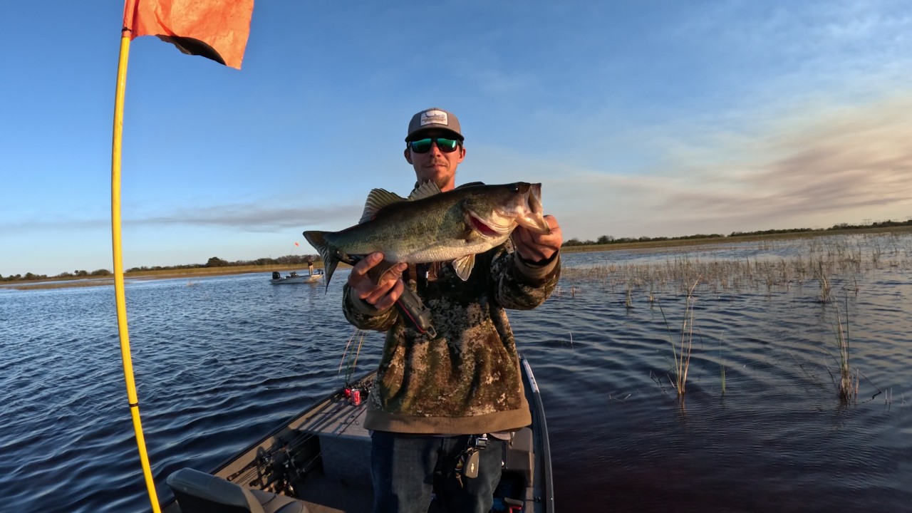 Tough Day in the Everglades