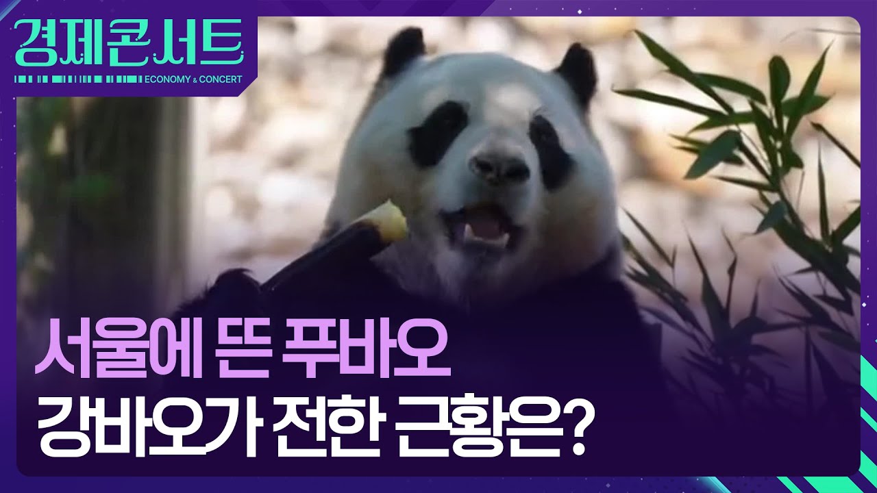 서울에 뜬 푸바오?…‘건강이상설’ 입 연 할부지 [경제콘서트] / KBS  2025.06.05.