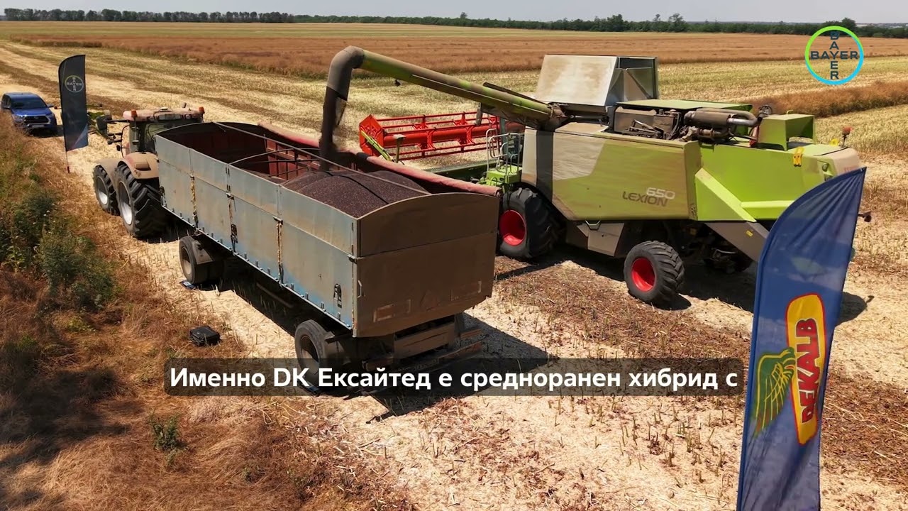 🚜Резултати от добиви - рапица DEKALB®