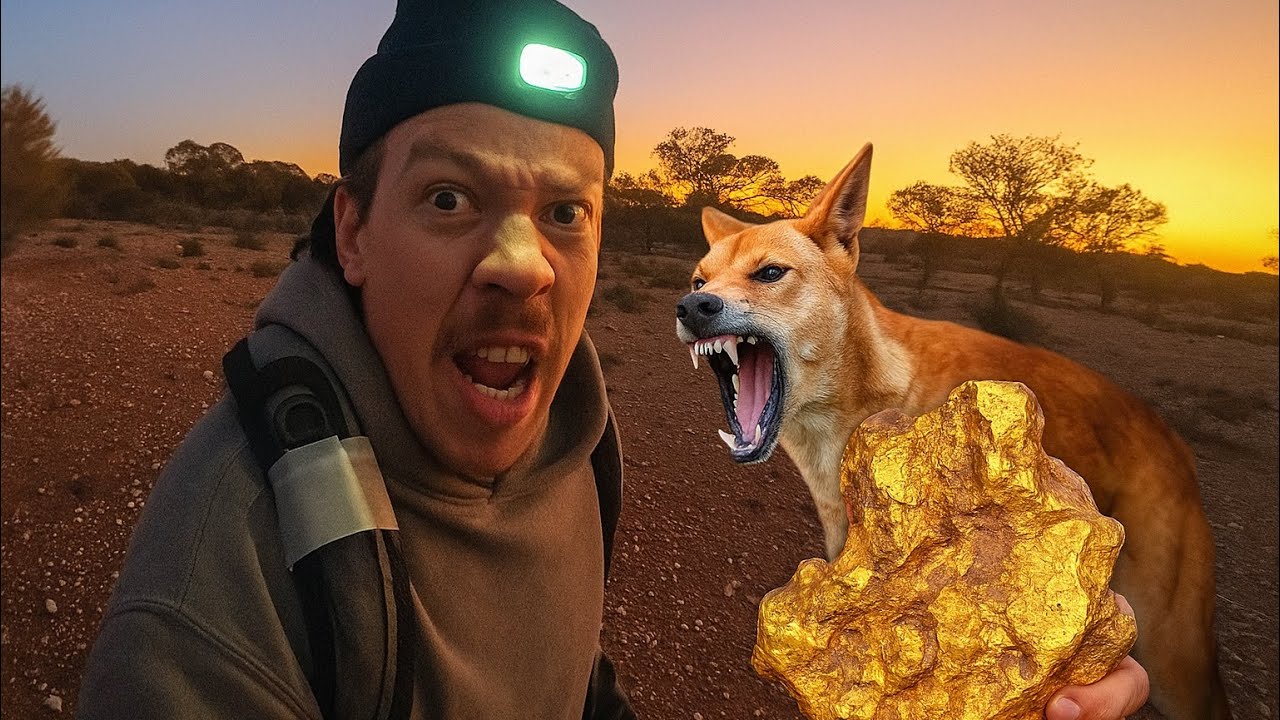 I found a Gold Nugget in the OUTBACK