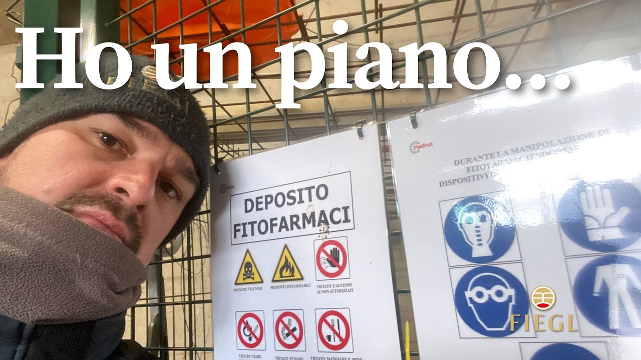 Pianificare un programma di trattamenti per il vigneto