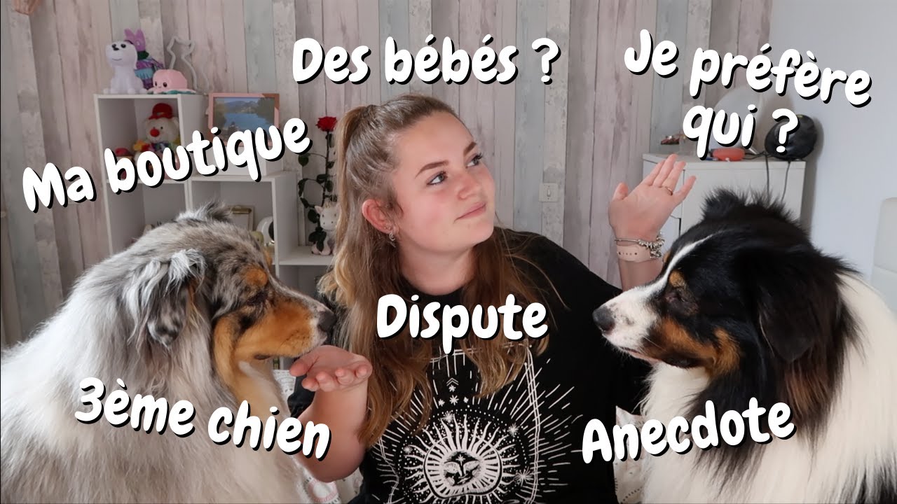 FAQ : JE R&Eacute;PONDS &Agrave; VOS QUESTIONS (Anecdote, b&eacute;b&eacute;, pr&eacute;f&eacute;rence, 3&egrave;me chien...) ♡
