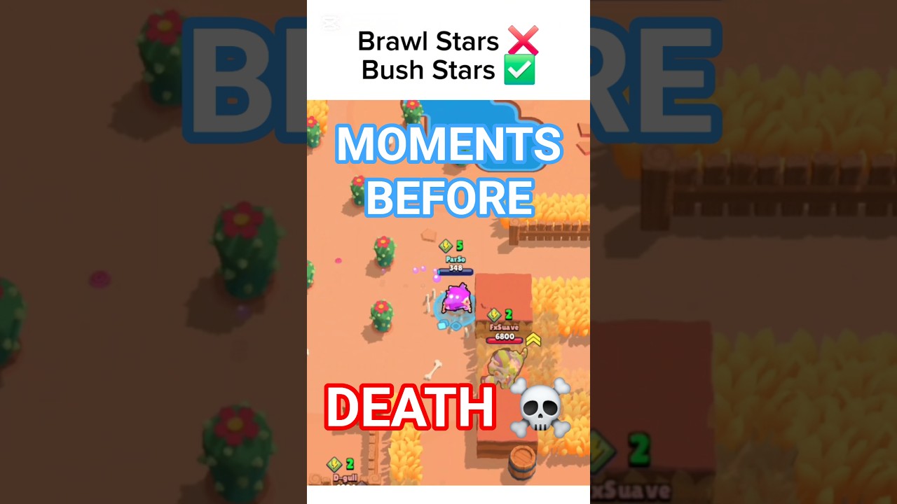 BUSH CAMP STARS 🌟 #brawlstars #bushcamp #kitbrawlstars #shorts #memes #funny
