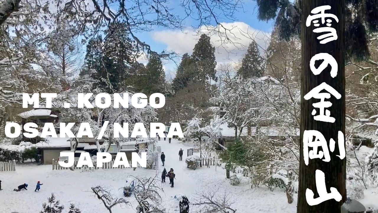 KONGO SNOW 雪の金剛山 Last time on Mt. Kongo!